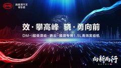 <b>比亚迪DM-i超级混动初亮剑</b>