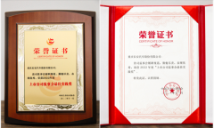 <b>长安汽车喜获“上市公司监事会最佳实践奖”</b>